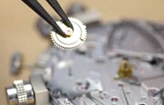 Maintenance Process‑WenshanZhuangandMiaoAutonomousPrefecture RADO Official Service Outlets