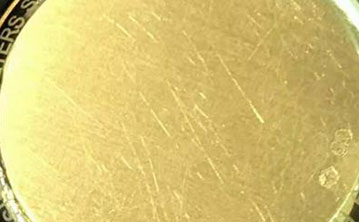 WenshanZhuangandMiaoAutonomousPrefecture RADO Watch Case Scratches WenshanZhuangandMiaoAutonomousPrefecture RADO Watch Case Scratches